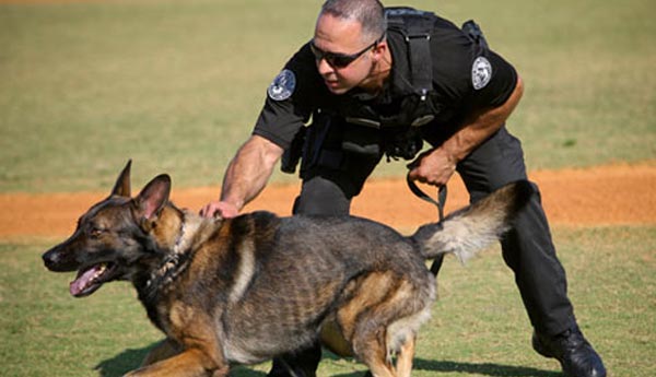 Boca-Raton-Police-Foundation_Florida-Nonprofit_Underwater-Camera