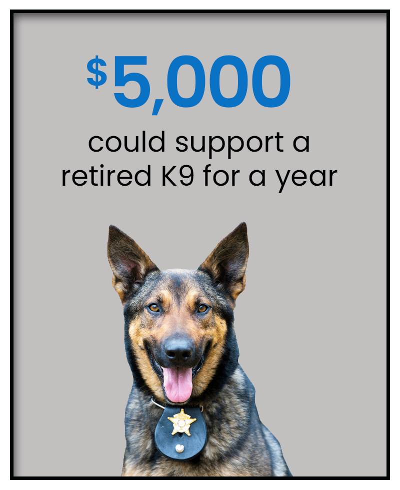 Boca-Raton-Police-Foundation_Florida-Nonprofit_Retired K9